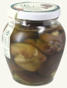 Shiitake (Lentinus Edodes) aus ökologisc