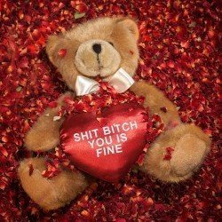 Shit Bitch Teddybär
