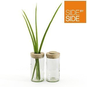 Side by Side Vase & Vorrats-Dose aus Gla