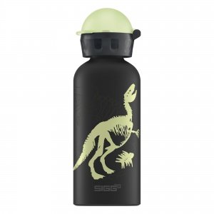 Sigg Flasche 0,4 Primeval Glow