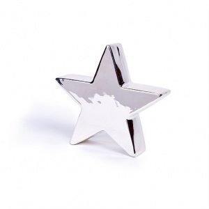 Silverstar 20,5cm