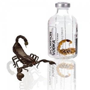Skorpion Vodka
