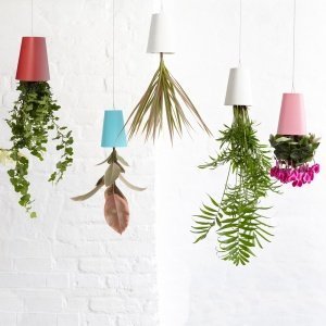 Sky Planter- Der etwas andere Blumentopf