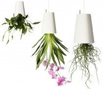 Sky Planters - Hängender Blumentopf mitt