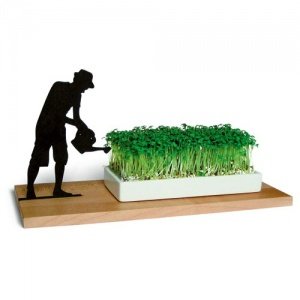 SMART ´N´ GREEN Kressegarten GÄRTNER