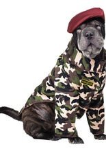 Soldat Offizier Hundekostüm camouflage