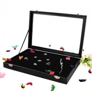 Songmics Schmucklade Ringkasten