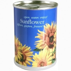Sonnenblume aus der Dose