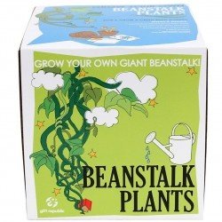 Sow & Grow - Stangenbohnen