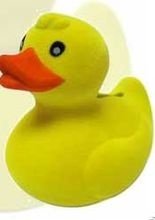 Spardose Quietscheente