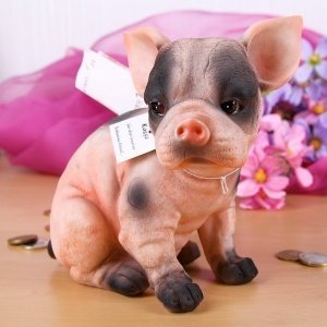 Spardose Schweine-Hund