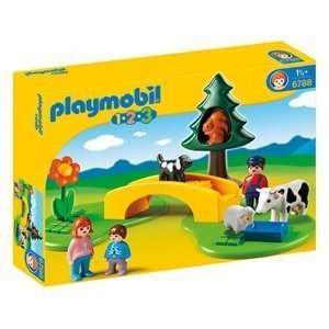 Spaziergang zur Sommerweide 6788