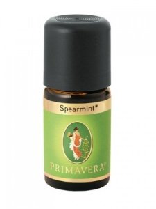 Spearmint bio Ägypten