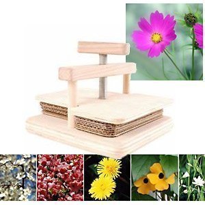 Spindel Blumenpresse aus Holz (Einzelstü