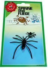 Spinne und Fliege