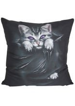 Spiral Kissen Katze Bright Eyes