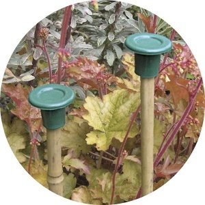 Stababdeckung "Cane Caps", grün, 10er-Pa