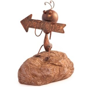 Steinameise *Welcome*