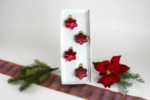 Sternen Set 4tlg. Ochsenblut