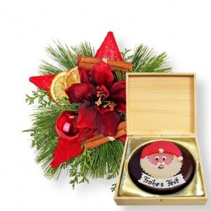 Sternschnuppe und Sachertorte Frohes Fes