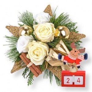 Sterntaler und Xmas-Countdown