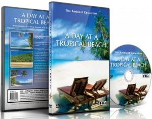 Strand Dvd - Ein Tag am tropischen Strand mit schönen Landschaften und Naturgeräuschen