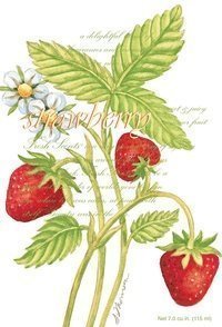 -Strawberry- Duftsachet Large, WillowBro