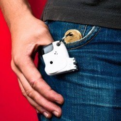 Suchhund Schlüssel-Anhänger