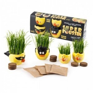 Super Küken - Grasköpfe