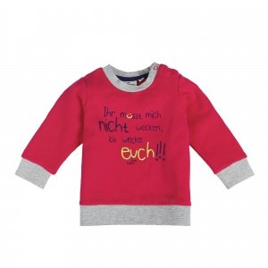 Sweatshirt 4254  flashy red