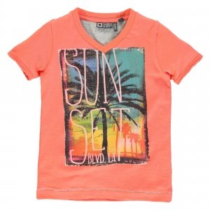 T-Shirt flamingo 4019