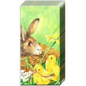 Taschentücher "Bunny and Chicks"