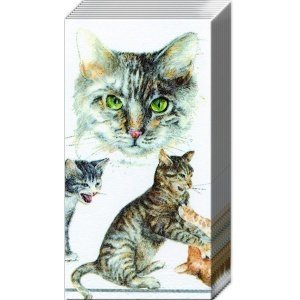 Taschentücher "Cat"