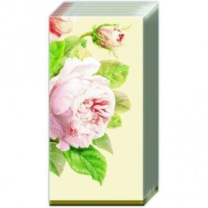 Taschentücher "Fairy Rose"