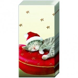 Taschentücher "Santa Cat"