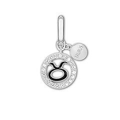 Taurus Charm
