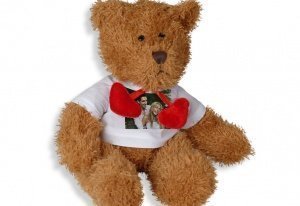 Teddy Love
