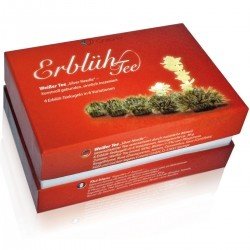 Teeschachtel - Frühjahrslese oder Schwar