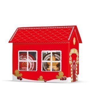 THE JOYFUL SCHOOLHOUSE