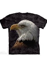 The Mountain Bald Eagle Portrait Kinder 