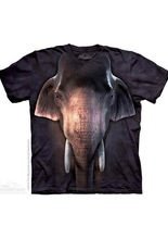 The Mountain Big Face Asian Elephant Kin