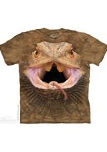 The Mountain Big Face Bearded Dragon Kin