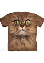The Mountain Big Face Brown Cat Kinder T