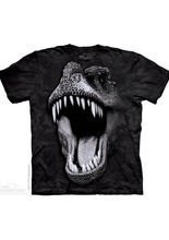 The Mountain Big Face Glow Rex Kinder T-