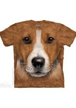 The Mountain Big Face Jack Russell Kinde