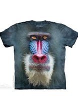 The Mountain Big Face Mandrill Baboon Ki