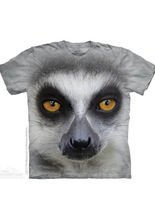The Mountain Big Face Ring Tailed Lemur 