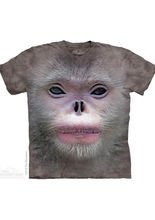 The Mountain Big Face Snub Nose Monkey K