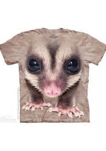 The Mountain Big Face Sugar Glider Kinde