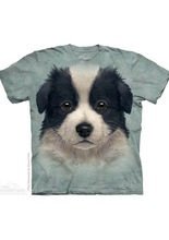 The Mountain Border Collie Puppy Kinder 